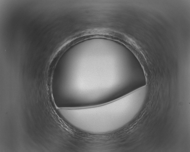 X0000084561312200702230951