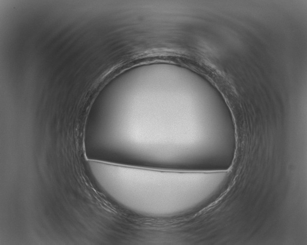 X0000084561313200702230951