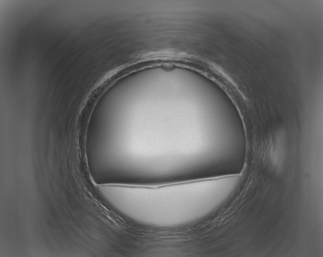 X0000084561315200702230951