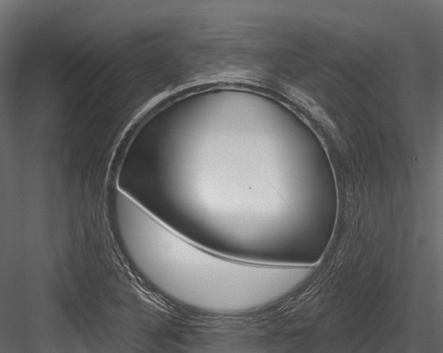 X0000084561316200702230951