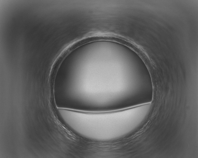 X0000084561319200702230951
