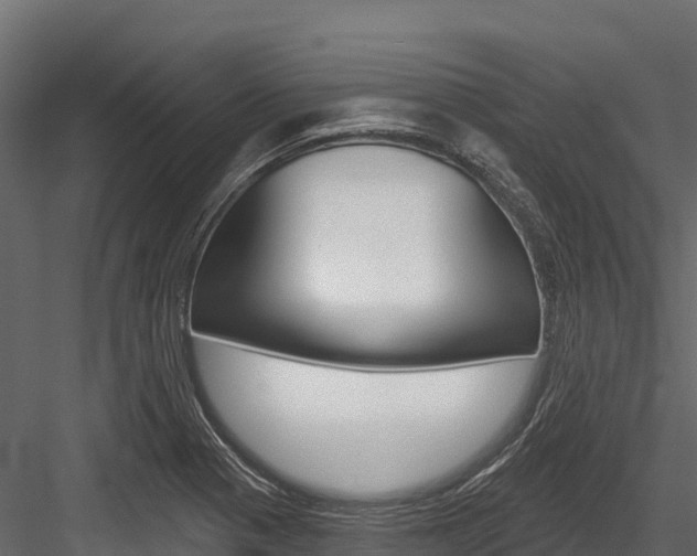 X0000084561321200702230951