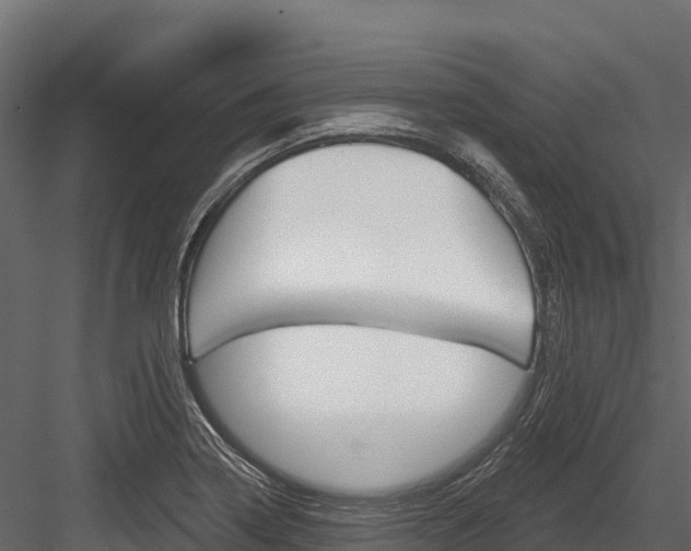X0000084561322200702230951