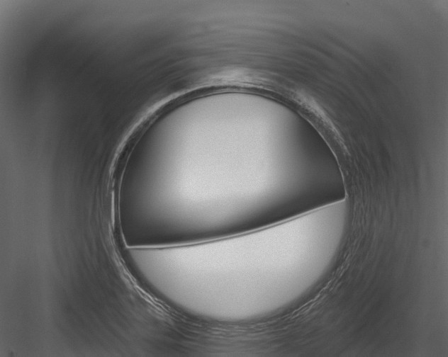 X0000084561323200702230951