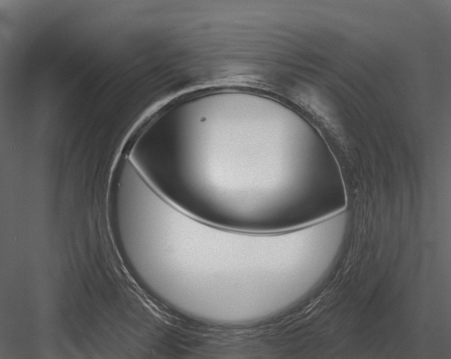 X0000084561324200702230951