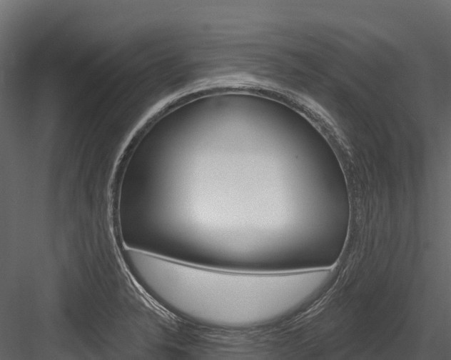X0000084561326200702230951