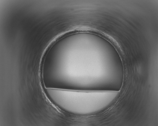 X0000084561327200702230951