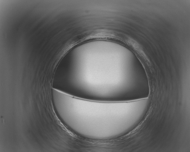 X0000084561329200702230951