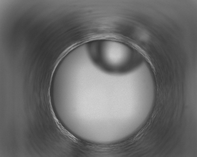 X0000084561330200702230951