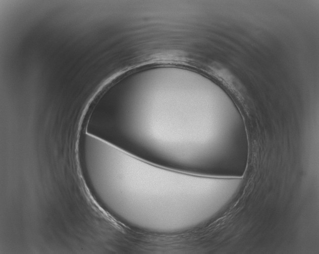 X0000084561331200702230951