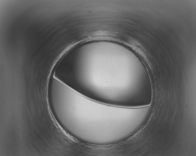 X0000084561333200702230951
