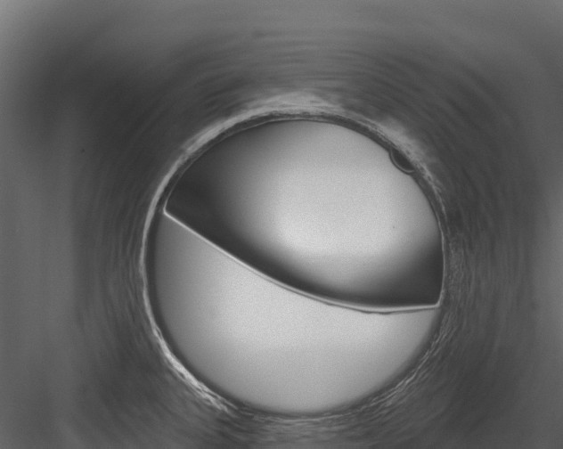 X0000084561335200702230951