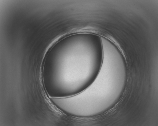 X0000084561336200702230951