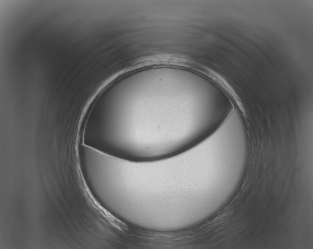 X0000084561339200702230951