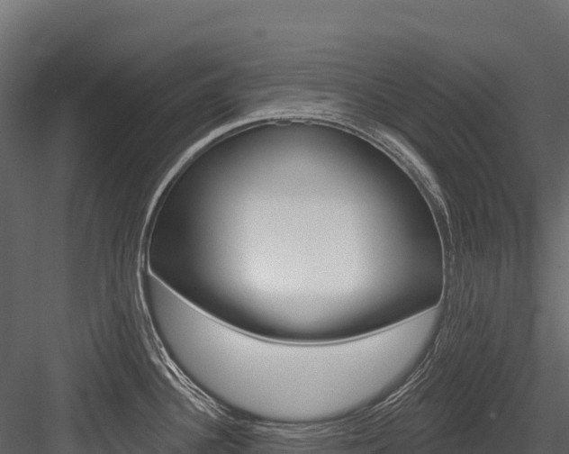 X0000084561340200702230951