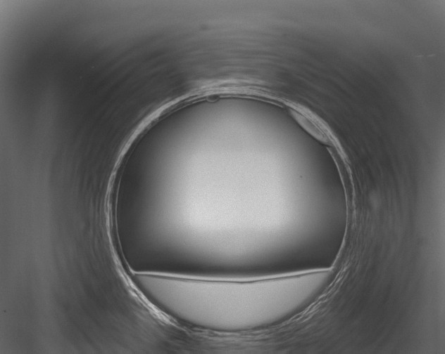 X0000084561341200702230951