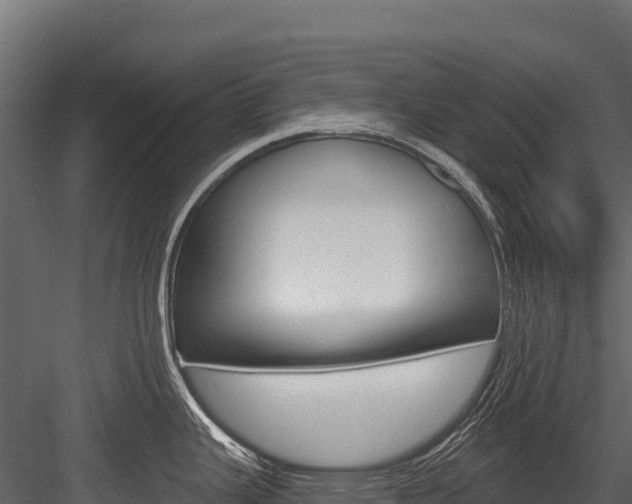 X0000084561343200702230951