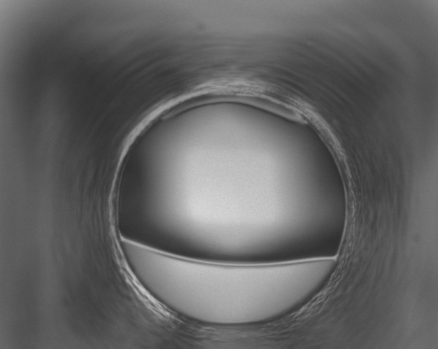 X0000084561344200702230951