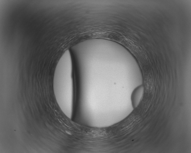 X0000084561346200702230951
