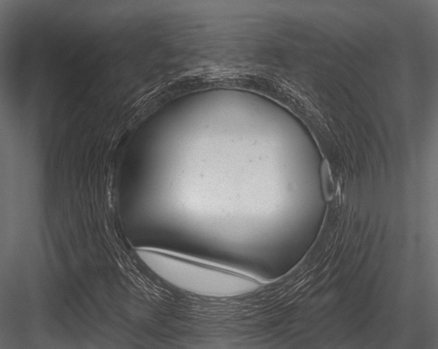 X0000084561348200702230951