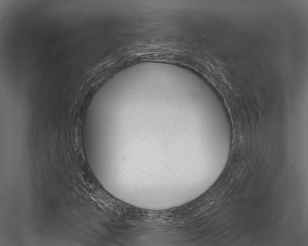 X0000084561350200702230950