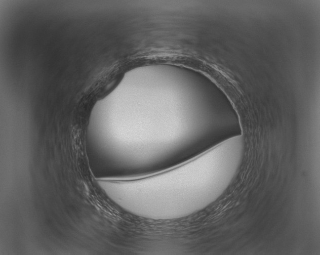 X0000084561351200702230950