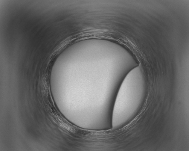 X0000084561354200702230950