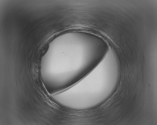 X0000084561355200702230950