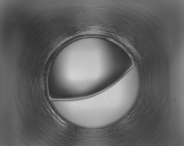 X0000084561356200702230950