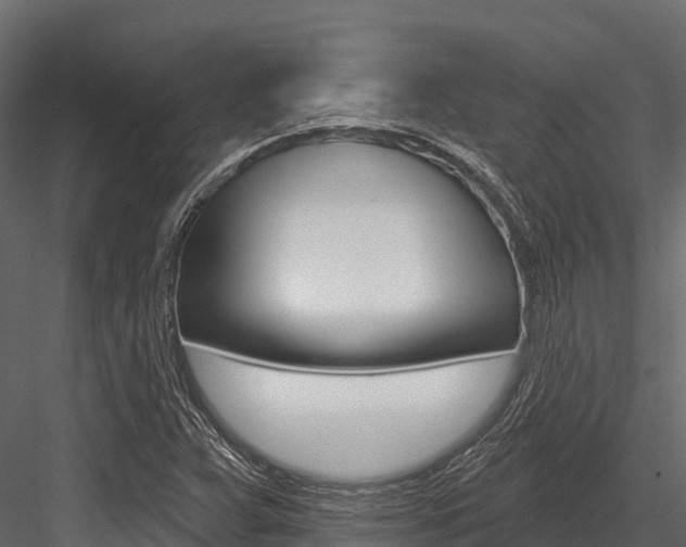X0000084561359200702230950