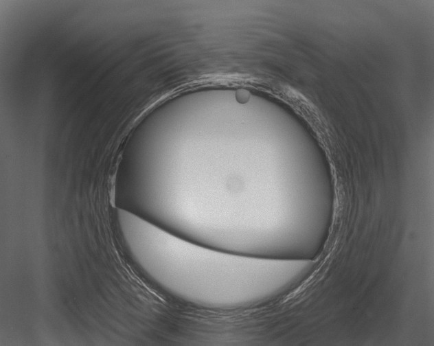 X0000084561361200702230950