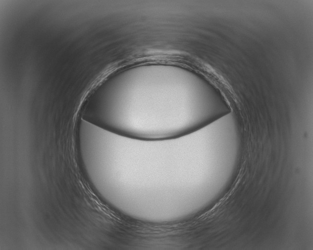 X0000084561362200702230950