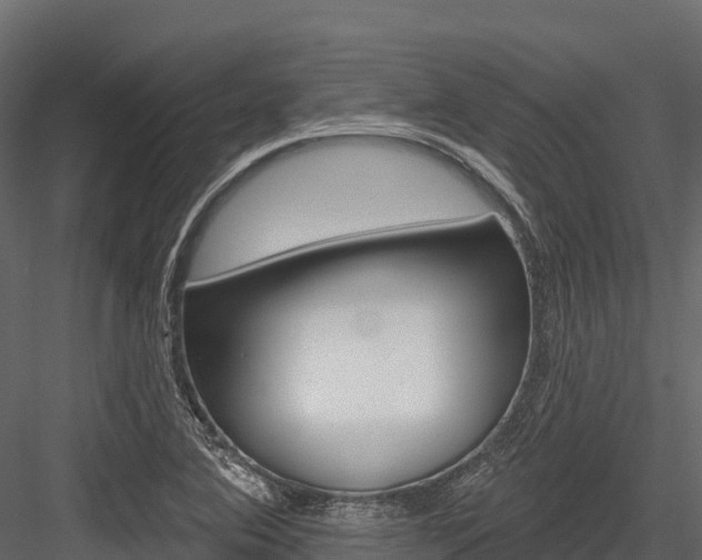 X0000084561364200702230950
