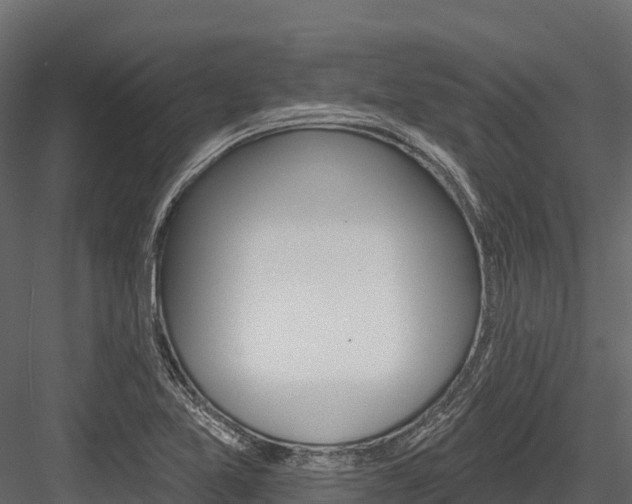 X0000084561365200702230950