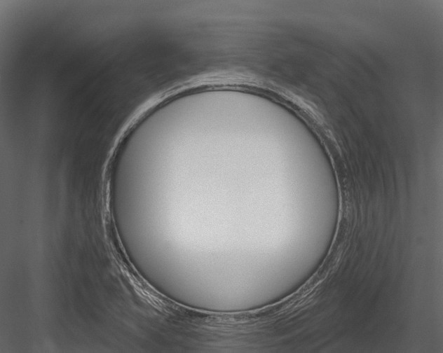 X0000084561366200702230950
