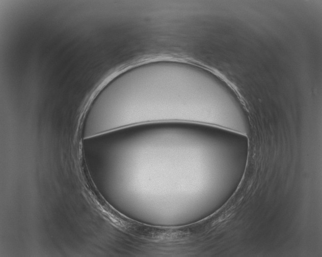 X0000084561367200702230950