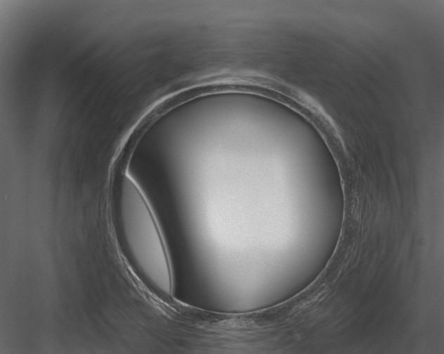 X0000084561368200702230950