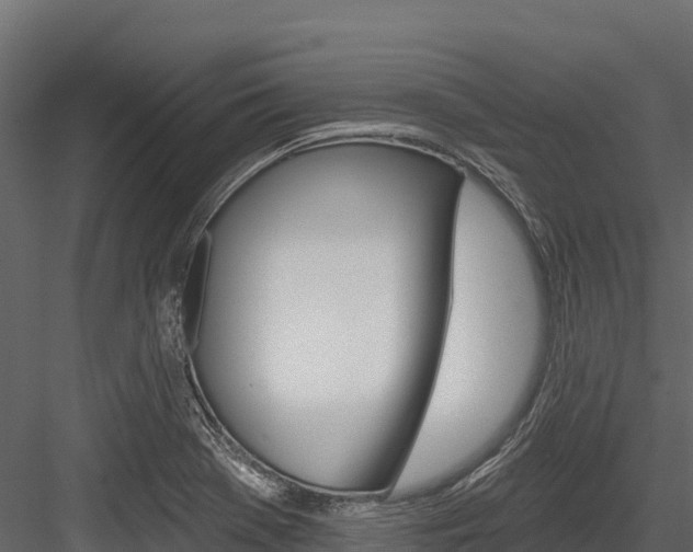 X0000084561369200702230950