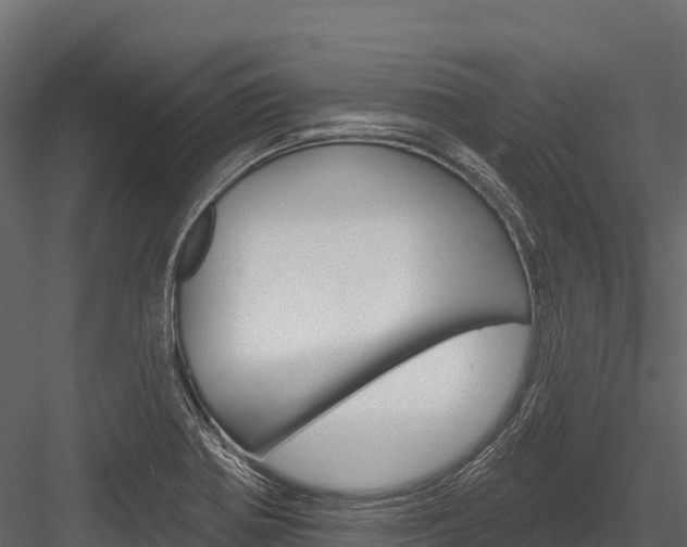 X0000084561370200702230950