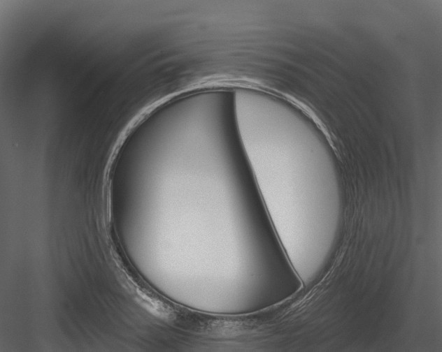 X0000084561371200702230950