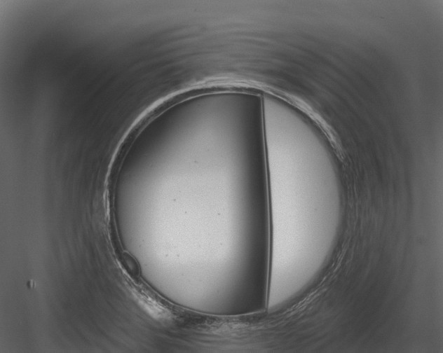 X0000084561372200702230950