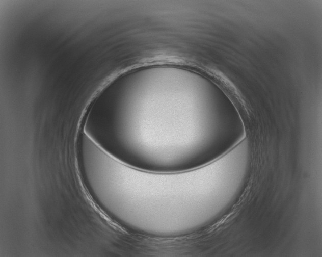 X0000084561373200702230950
