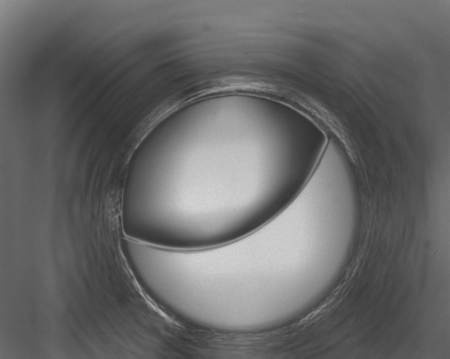 X0000084561377200702230950