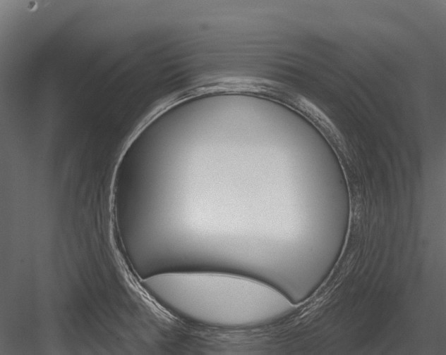 X0000084561378200702230950