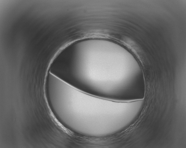 X0000084561379200702230950
