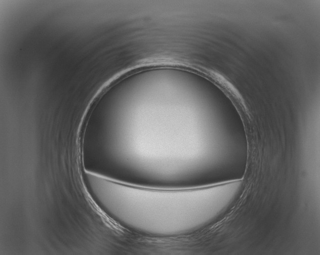 X0000084561380200702230950
