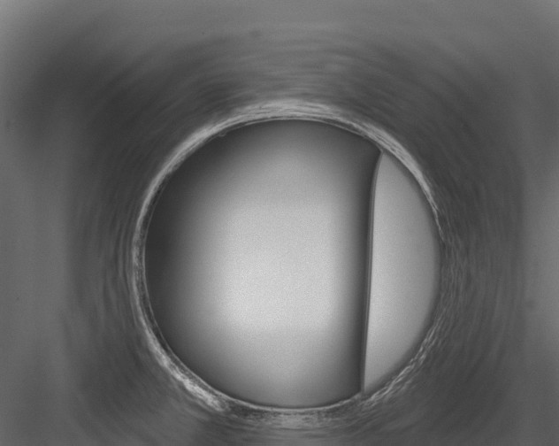 X0000084561381200702230950