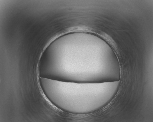 X0000084561382200702230950