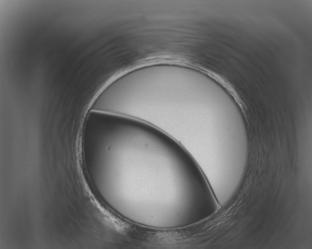 X0000084561383200702230950