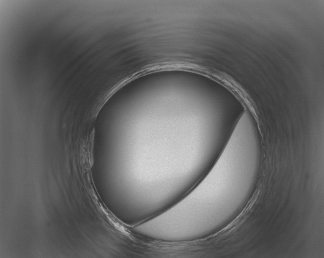 X0000084561385200702230950